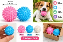 Spiky Dog Chew Balls – 2-Pack, Textured Pet Play Toys